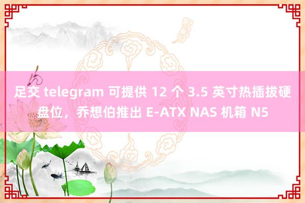 足交 telegram 可提供 12 个 3.5 英寸热插拔硬盘位，乔想伯推出 E-ATX NAS 机箱 N5