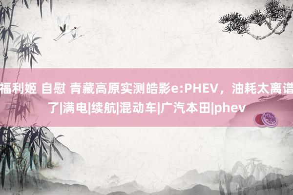 福利姬 自慰 青藏高原实测皓影e:PHEV，油耗太离谱了|满电|续航|混动车|广汽本田|phev