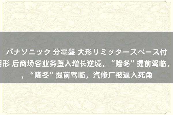 パナソニック 分電盤 大形リミッタースペース付 露出・半埋込両用形 后商场各业务堕入增长逆境，“隆冬”提前驾临，汽修厂被逼入死角