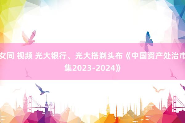 女同 视频 光大银行、光大搭剃头布《中国资产处治市集2023-2024》