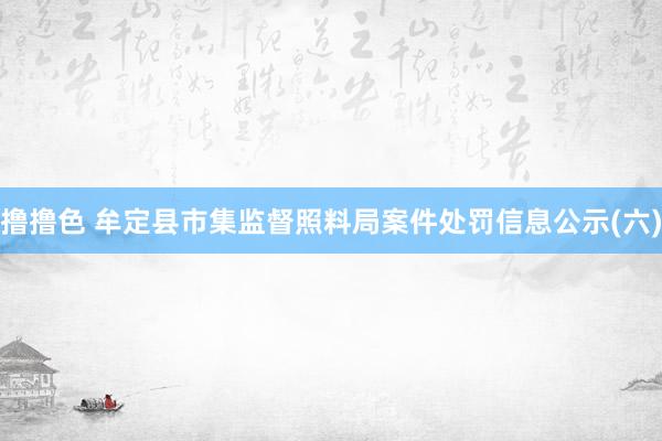 撸撸色 牟定县市集监督照料局案件处罚信息公示(六)