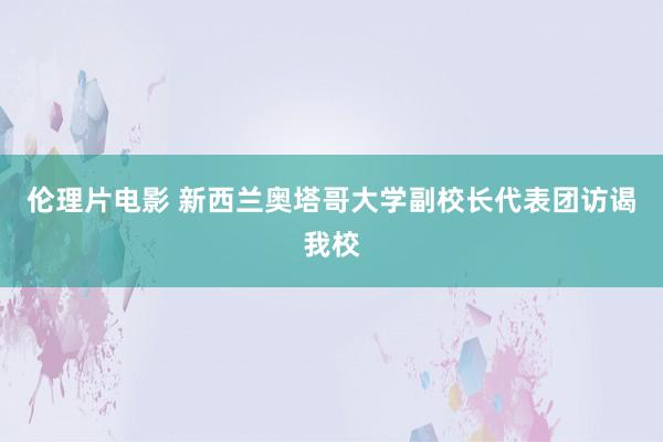 伦理片电影 新西兰奥塔哥大学副校长代表团访谒我校